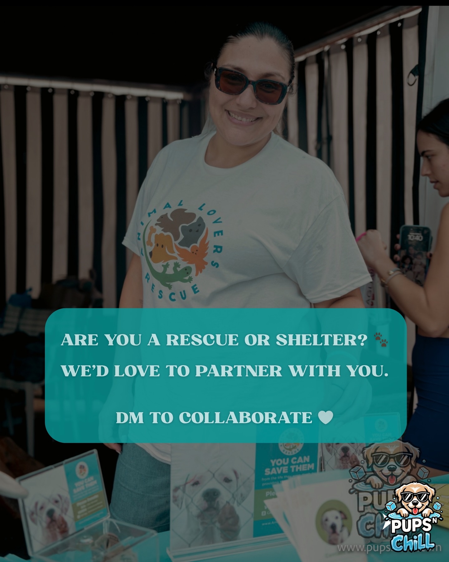 Animal Lovers Rescue at Pups N Chill, inviting rescues and shelters to collaborate